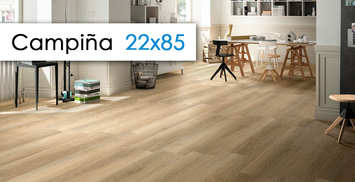 Campi&ntilde;a 22x85